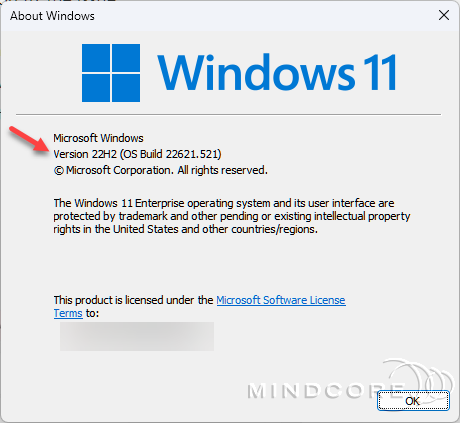 Windows 11 version 22H2.