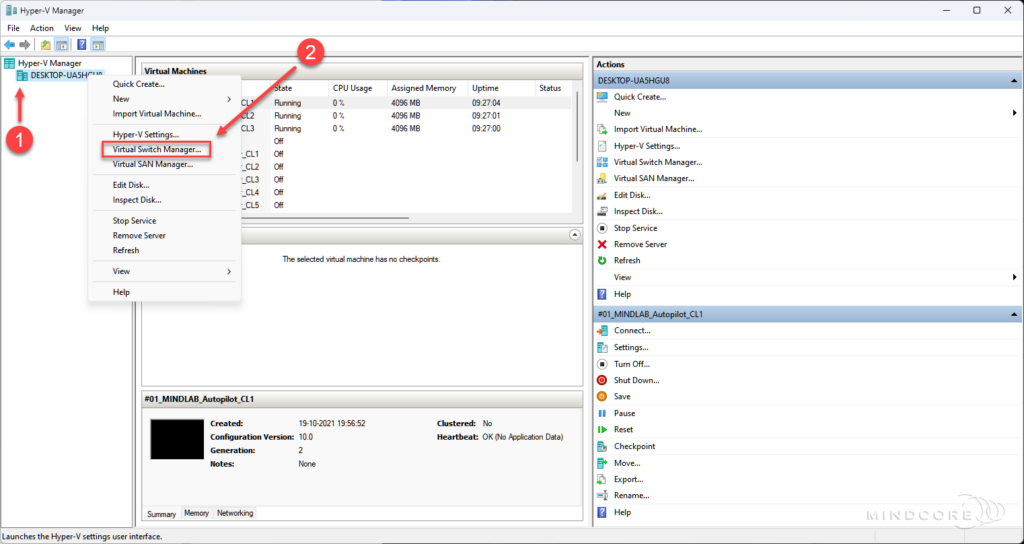 Hyper-V Virtual Switches.